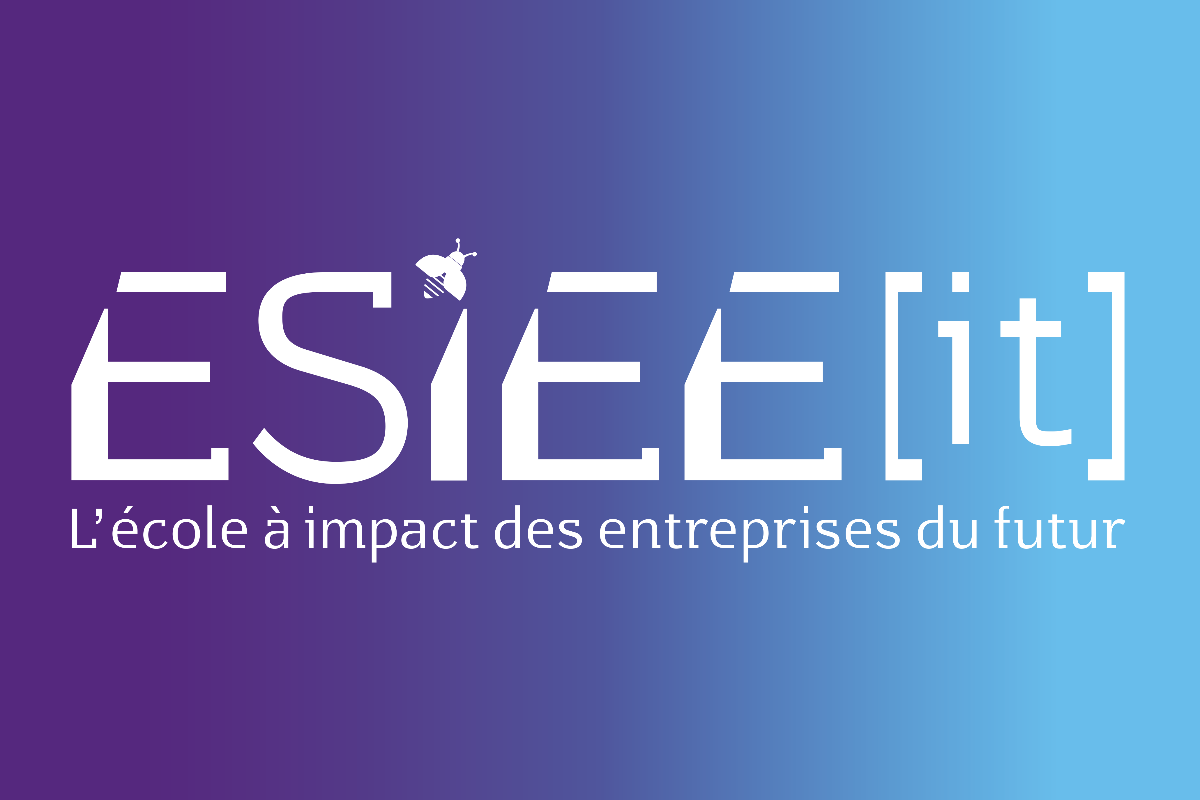 ESIEE-it